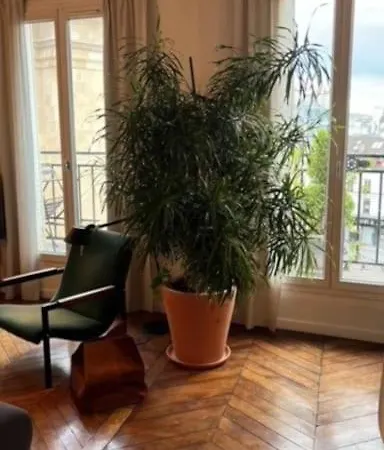 60sqm Design With Stunning View شقة *